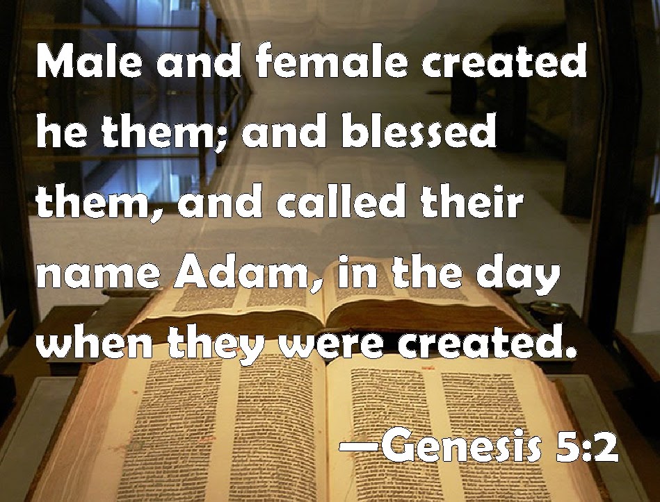 A Genealogy of Life, Death, and Hope (pt.2)